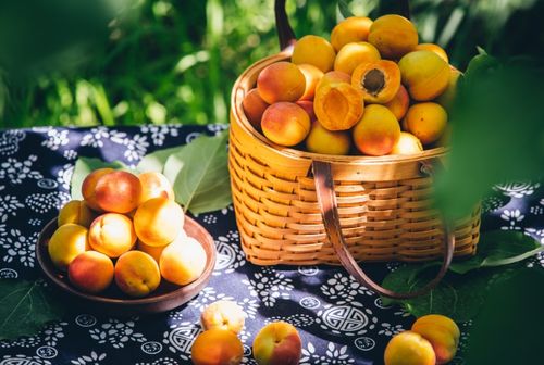 品味新疆 招牌果發布會 百果園攜手新疆優質農產品產銷服務中心共促農產品品質升級