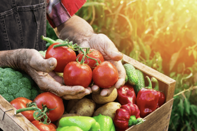 小目標定了！我國農產品加工業邁向32萬億新征程