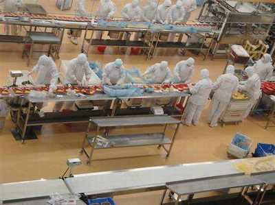 重慶銅梁出國務工 哪些國家農產品領域收入最高？