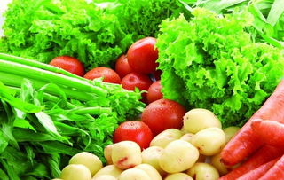 南湖區(qū)農(nóng)產(chǎn)品安全再升級 96家農(nóng)業(yè)主體實現(xiàn)100%可追溯