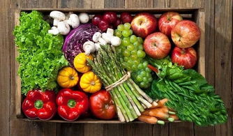 中國供銷延安農(nóng)產(chǎn)品物流園 構(gòu)筑放心“菜籃子”工程，助力農(nóng)產(chǎn)品安全高效流通