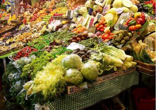 農(nóng)村寶 打通產(chǎn)銷壁壘，為農(nóng)產(chǎn)品打開財(cái)富新大門